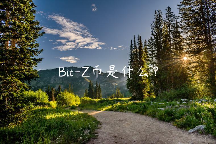 Bit-Z币是什么？