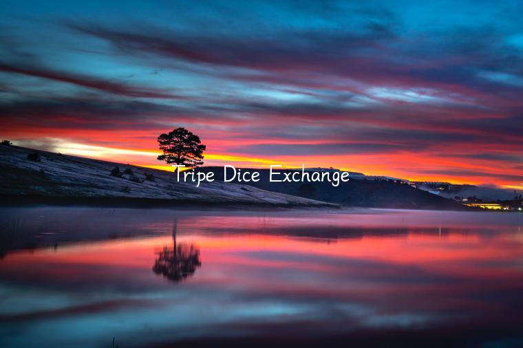 Tripe Dice Exchange