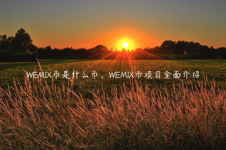 WEMIX币是什么币，WEMIX币项目全面介绍