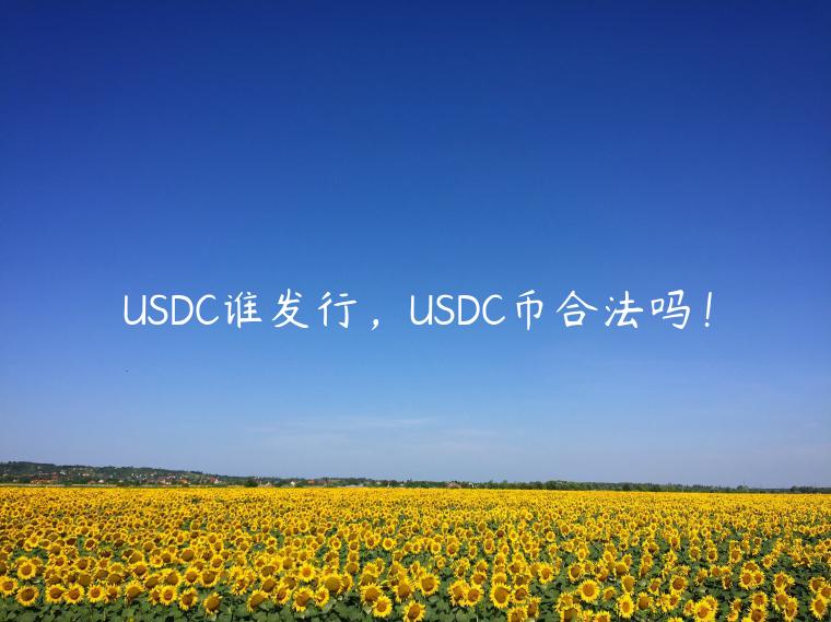 USDC谁发行，USDC币合法吗！