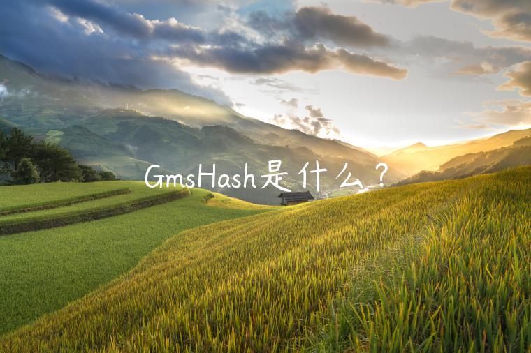 GmsHash是什么？