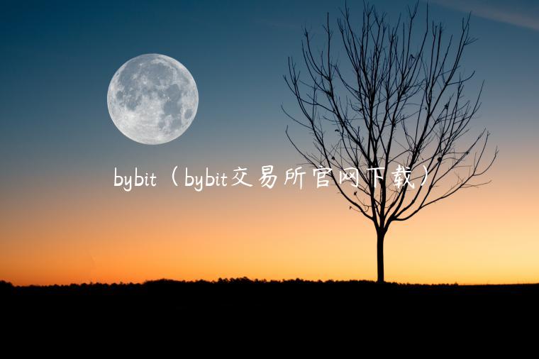 bybit（bybit交易所官网下载）