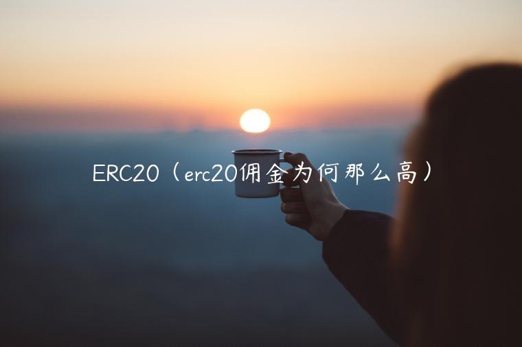 ERC20（erc20佣金为何那么高）