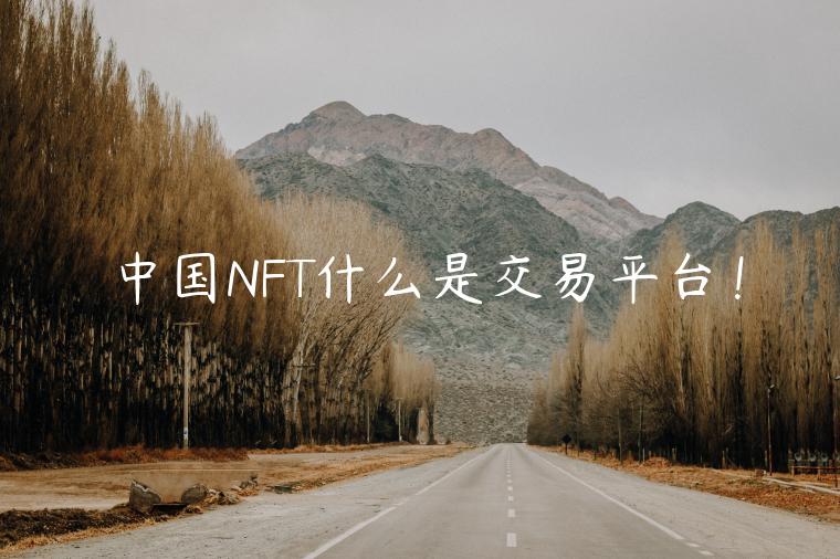 中国NFT什么是交易平台！