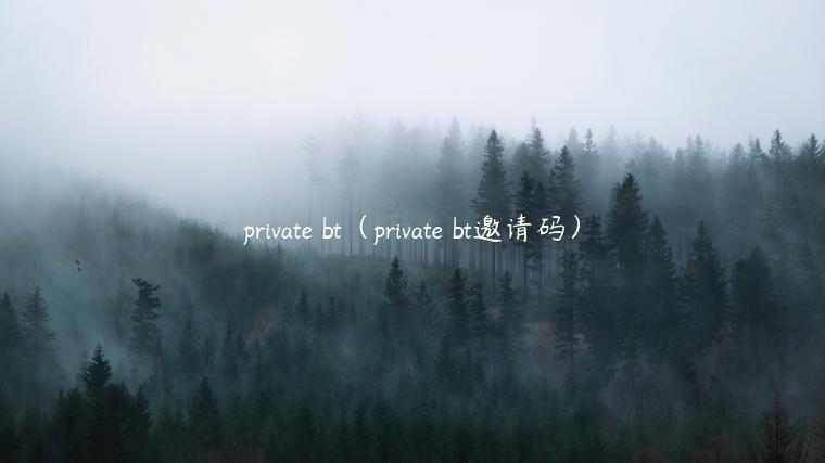 private bt（private bt邀请码）