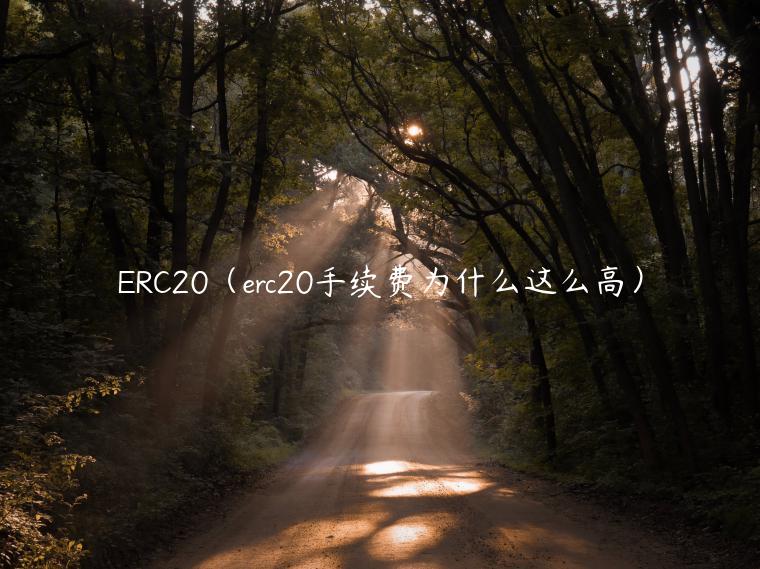 ERC20（erc20手续费为什么这么高）