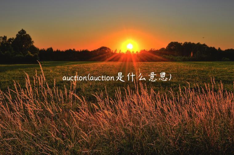 auction(auction是什么意思)
