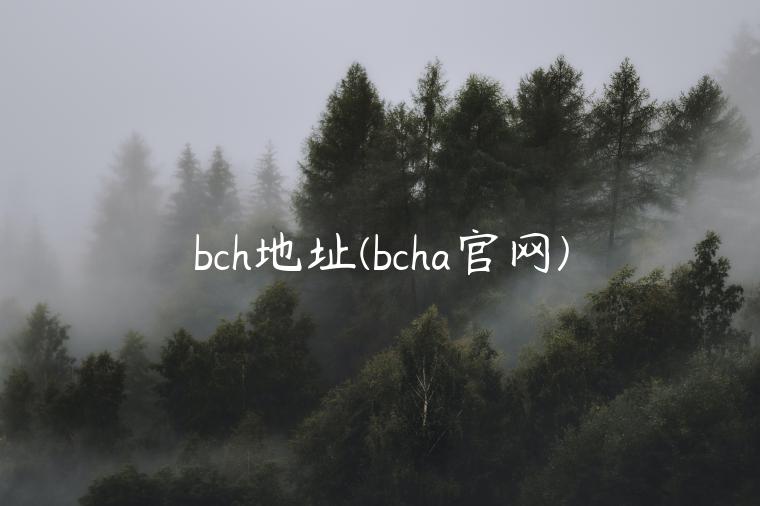 bch地址(bcha官网)